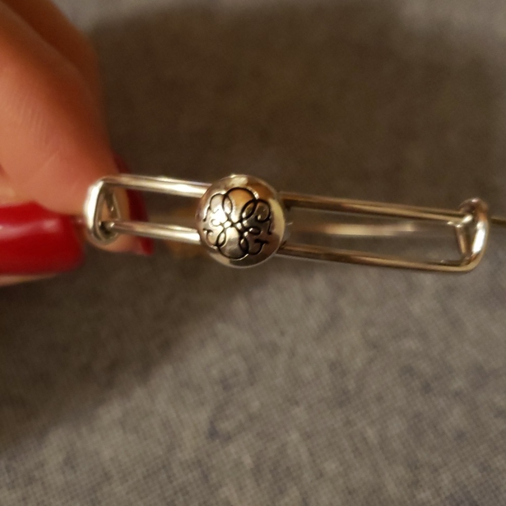 Alex and Ani Path of Life slider charm bracelet